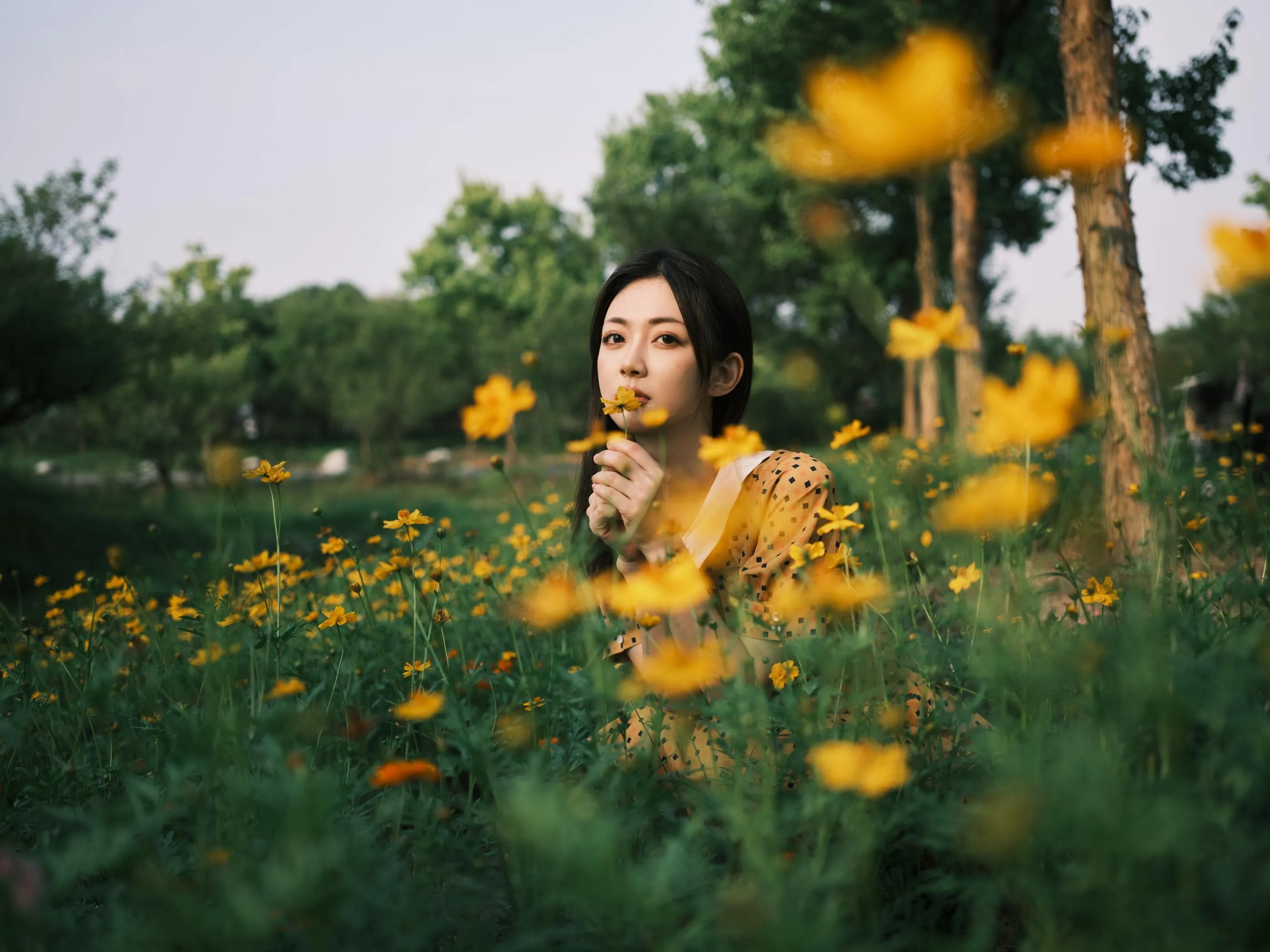 [YITUYU艺图语]2022.08.08 硫华菊柳叶马鞭草-是夏天的味道呀！ 飞鸟咕咕- [44P]插图1